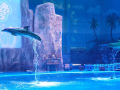 -华夏文旅海洋公园