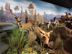 -陕西自然博物馆