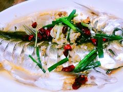 乌镇白水鱼-印象江南(东栅店)