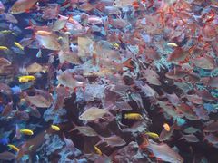 -成都浩海立方海洋公园