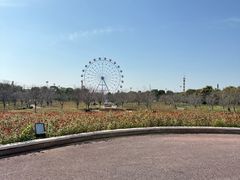 -云幽谷旅游区