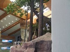 -延庆地质公园博物馆