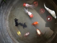 -望京一号·重庆江湖菜(工体店)