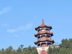 -雾与山茶(大禹城店)