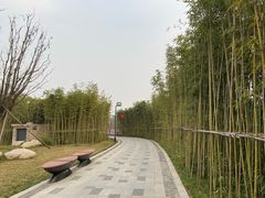 -秦文明广场