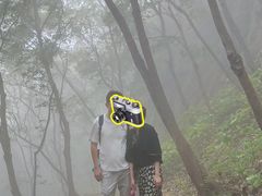 -大连天门山国家森林公园