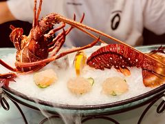 澳洲龙虾-徐记海鲜(曲江南湖店)