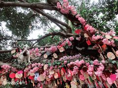 -磁器口古镇