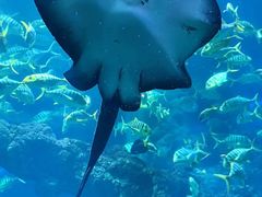-海合安青岛极地海洋公园