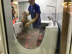 -1013 PET SHOP 宠物商店(近铁城市广场店)