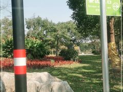 -上海海湾国家森林公园