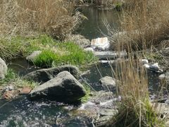 -碓臼峪自然风景区