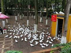 -昆明动物园