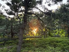 -燕儿岛山公园