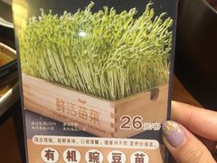 -捞神煲汤火锅(湖滨商业街店)