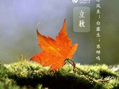 -黄鹤楼湖北特色菜(高碑店)
