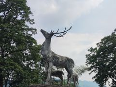 -长沙黑麋峰国家森林公园