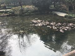 -杭州黄龙洞