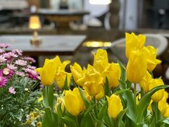 -Golden Lily河内巴黎法越料理餐厅(建国西路店)