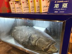 -御唐府海珊瑚主题餐厅