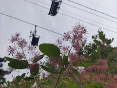 -香山公园