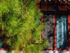 -护国法轮寺