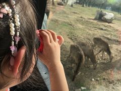 -西安秦岭野生动物园