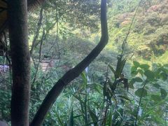 -古龙峡漂流