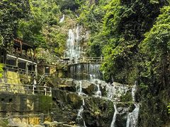 -鼎湖山风景区