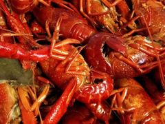 -小六农家乐(崇明西沙湿地店)