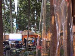 -二荆条·蜀鲜汇城市森林火锅