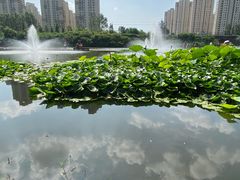 -前关湿地公园