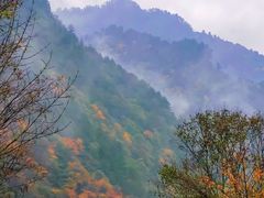 -秦岭风景区