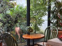-自由生长植物工作室(深港花卉中心店)