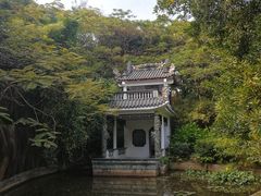 -深圳国际园林花卉博览园