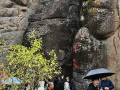 -汤旺河林海奇石景区