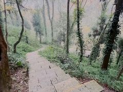 -青城山
