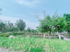 -西昌邛海湿地