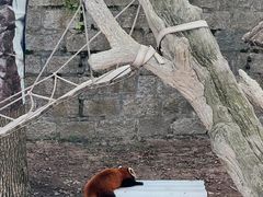 -上海野生动物园