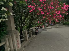 -苏州图书馆(人民路总馆)