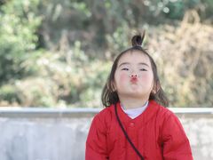 -天下玉苑