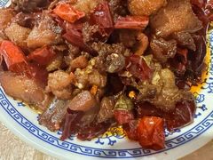 -食神又名厕所兔