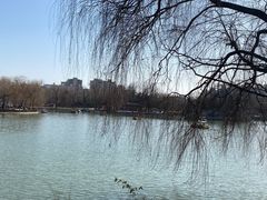 -达活泉公园
