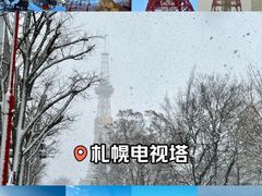 -札幌电视塔