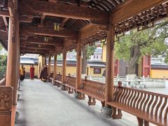 -上海东林寺(金山区)