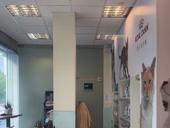 -瑞派申生动物医院·24H夜诊·国际动物医疗中心·骨外科(吴中路店)