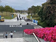 -深圳人才公园