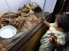 -昆明大悦城未来动物城(螺蛳湾中心店)
