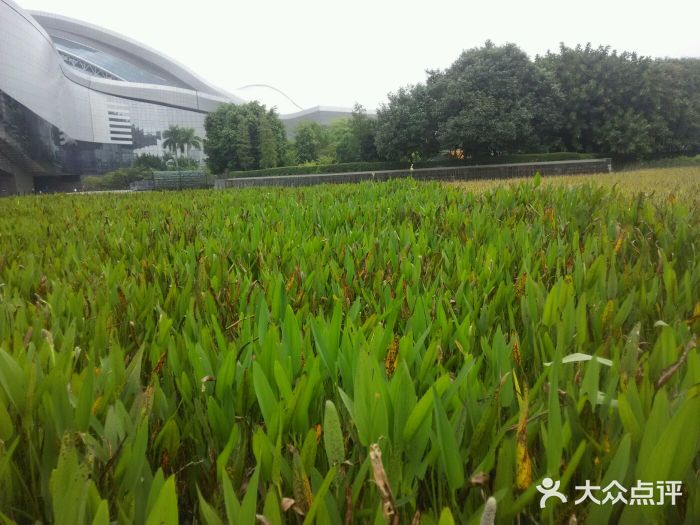 广东科学中心图片