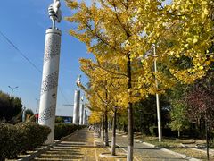 -丁香湖公园